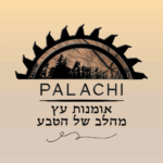 Kobi Palachi